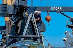 Moy-Works-Government-Contractor